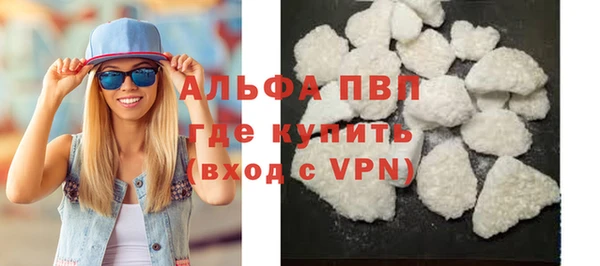 Альфа ПВП Няндома
