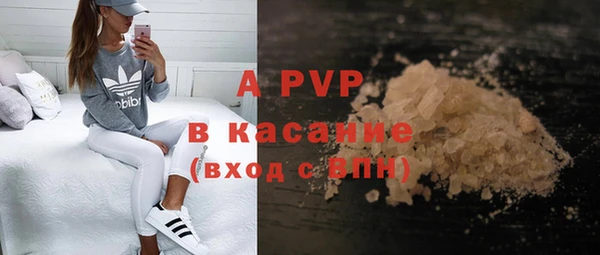 Альфа ПВП Няндома