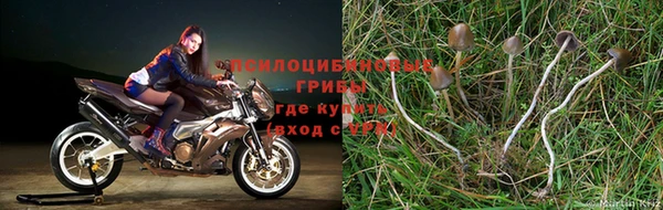 мдма Гвардейск