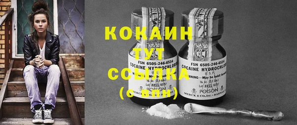 Альфа ПВП Няндома