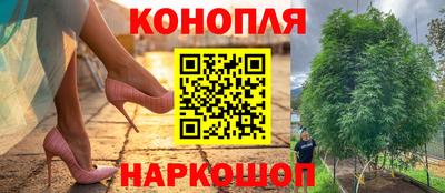 стафф Коммунар