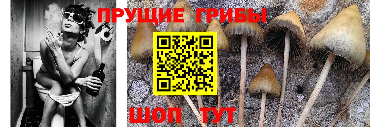 Псилоцибиновые грибы MAGIC MUSHROOMS Серов