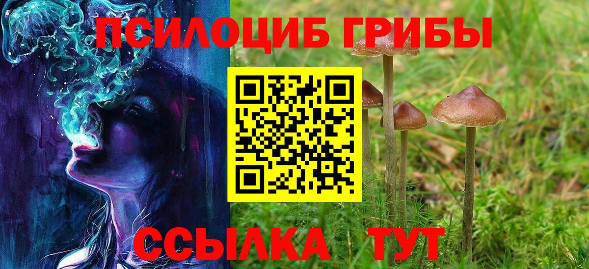 Серов  Галлюциногенные грибы MAGIC MUSHROOMS  сколько стоит  Вход с VPN 